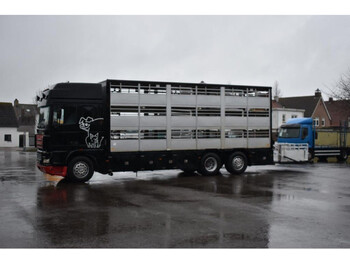 DAF AS48XS - camión transporte de ganado