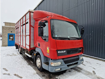 DAF LF 45 .220 - camión transporte de ganado