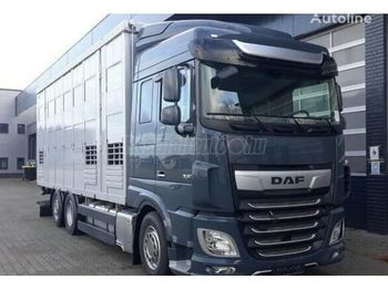 Camión transporte de ganado DAF XF 480 Élőállat-szállító: foto 1
