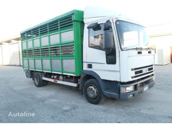 Camión transporte de ganado IVECO Eurocargo 80E18: foto 1