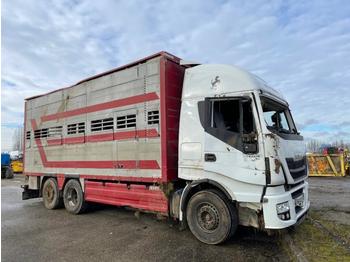Camión transporte de ganado Iveco Stralis: foto 1
