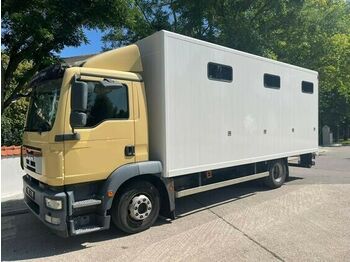 Camión transporte de ganado MAN Pferdetransporter: foto 1