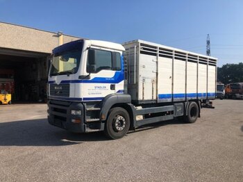 Camión transporte de ganado MAN TGA 18.360 Tiertransporter,Euro 3, Manual,: foto 1