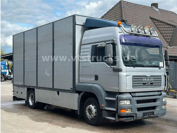 Camión transporte de ganado MAN TGA 18.390 4x2 1.Stock Cuppers Viehtransporter: foto 3