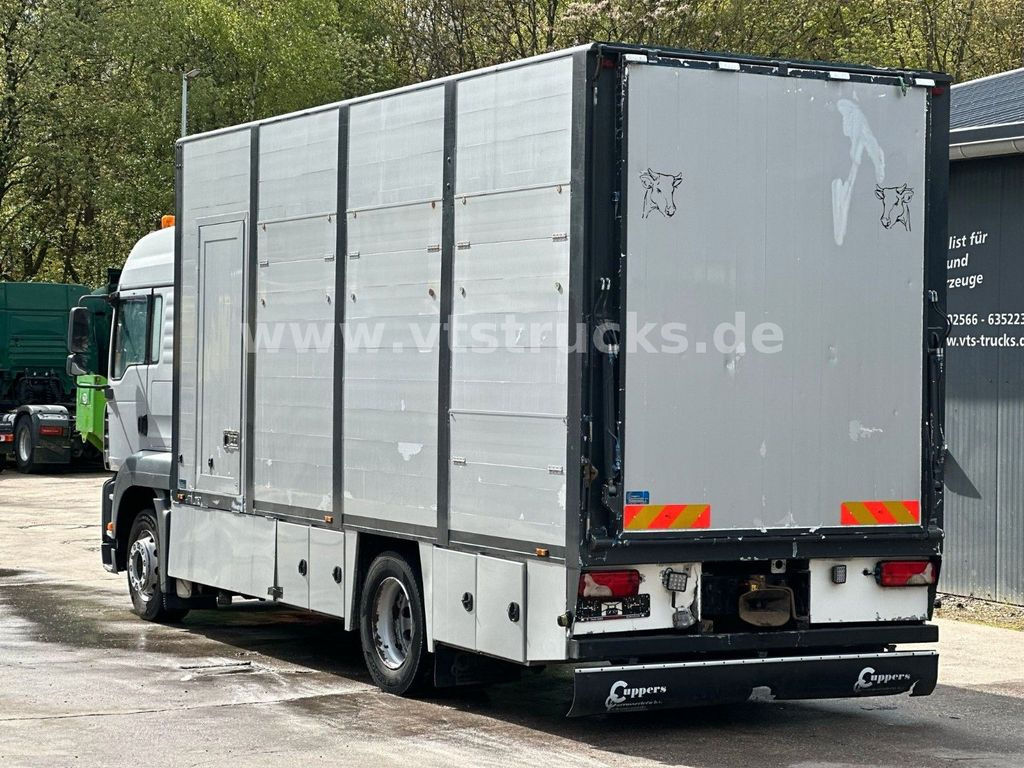 Camión transporte de ganado MAN TGA 18.390 4x2 1.Stock Cuppers Viehtransporter: foto 6