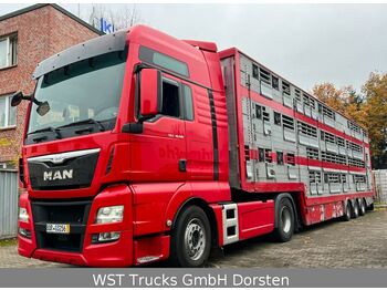 Camión transporte de ganado MAN TGX18.480 XXL  Pezzaioli 3 Stock Vollausstattung: foto 1