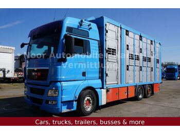 Camión transporte de ganado MAN TGX 26.540 XXL LL*Retarder/3Stock-Menke/LenkLift: foto 1