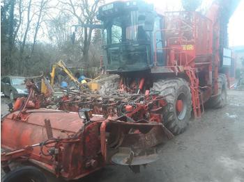 HOLMER TERRA DOS T2 - Cosechadoras de remolacha