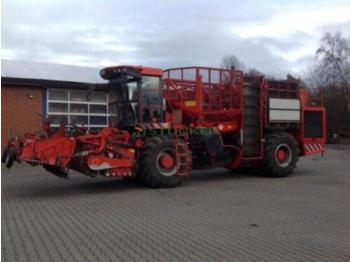 Holmer TERRA DOS T2 - Cosechadoras de remolacha