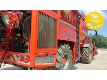 Holmer T 3 - Cosechadoras de remolacha