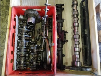 Motor y piezas para Excavadora CATERPILLAR 3116: foto 1