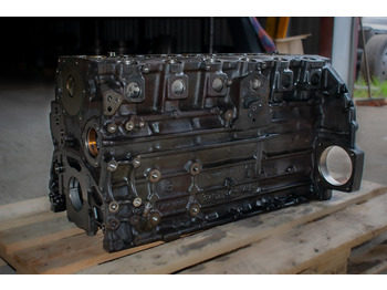 Bloque de cilindros para Camión MERCEDES-BENZ ATEGO 6CYLINDER EURO 4: foto 4