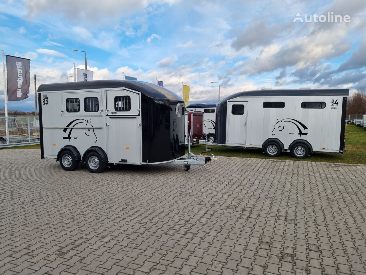 Remolque para caballos nuevo Cheval Liberté Maxi 3 Minimax trailer for 3 horses GVW 3500kg tack room saddle: foto 18
