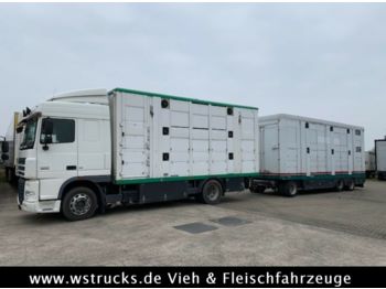 Remolque transporte de ganado Menke 2 Stock Ausahrbares Dach Vollalu: foto 1