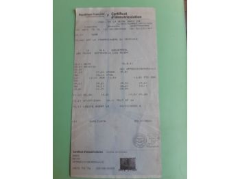 ACTM A.C.T.M 2 ESSIEUX - Remolque góndola rebajadas