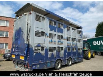 Finkl Tandem Hubdach 3 Stock  - Remolque transporte de ganado
