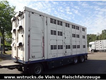 Menke 3 Stock Ausahrbares Dach Vollalu Typ 2  - Remolque transporte de ganado