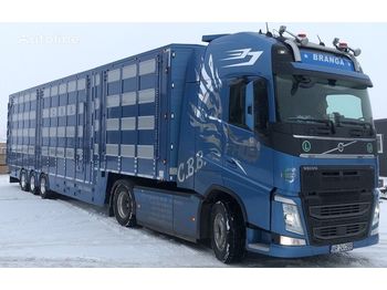 Semirremolque transporte de ganado para transporte de animales nuevo New PLAVAC 3+4: foto 1