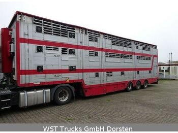 Semirremolque transporte de ganado Pezzaioli SBA 31U 3Stock  Vollausstattung GPS Top Zustand: foto 1