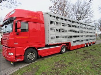 Semirremolque transporte de ganado Pezzaioli SBA**