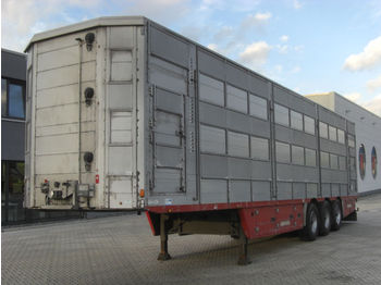 Pezzaioli SBA63U / 3 Achsen / BPW-Achsen / 3 Stock  - Semirremolque transporte de ganado