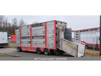 Remolque transporte de ganado PEZZAIOLI