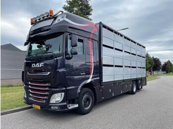Camión transporte de ganado DAF XF 460