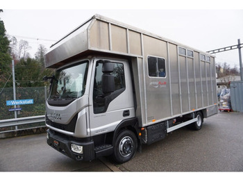 Camión transporte de ganado IVECO EuroCargo