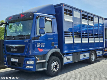Camión transporte de ganado MAN TGM 15.250