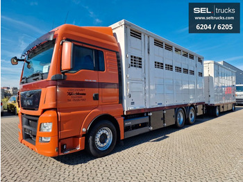Camión transporte de ganado MAN TGX 26.480