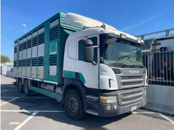 Camión transporte de ganado SCANIA P 380