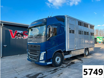 Camión transporte de ganado VOLVO FH 500