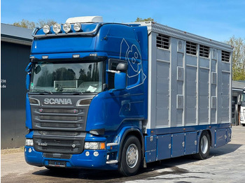 Scania R520 2.Stock Stehmann Tränke,Hubdach,Aggregat  - Camión transporte de ganado: foto 1