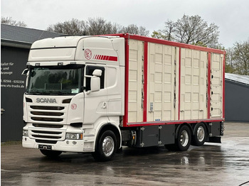 Scania R490 EU6 6x2 4.Stock Menke m. Hubdach & Tränke  - Camión transporte de ganado: foto 1
