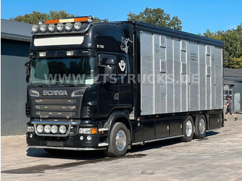 Scania R730 V8 6x2 2.Stock Stehmann + Hubdach, Vollluft  - Camión transporte de ganado: foto 1
