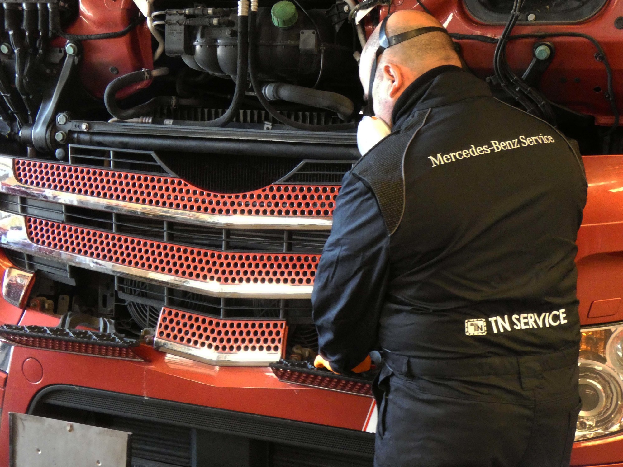 TN Service srl - anuncios sobre venta undefined: foto 10