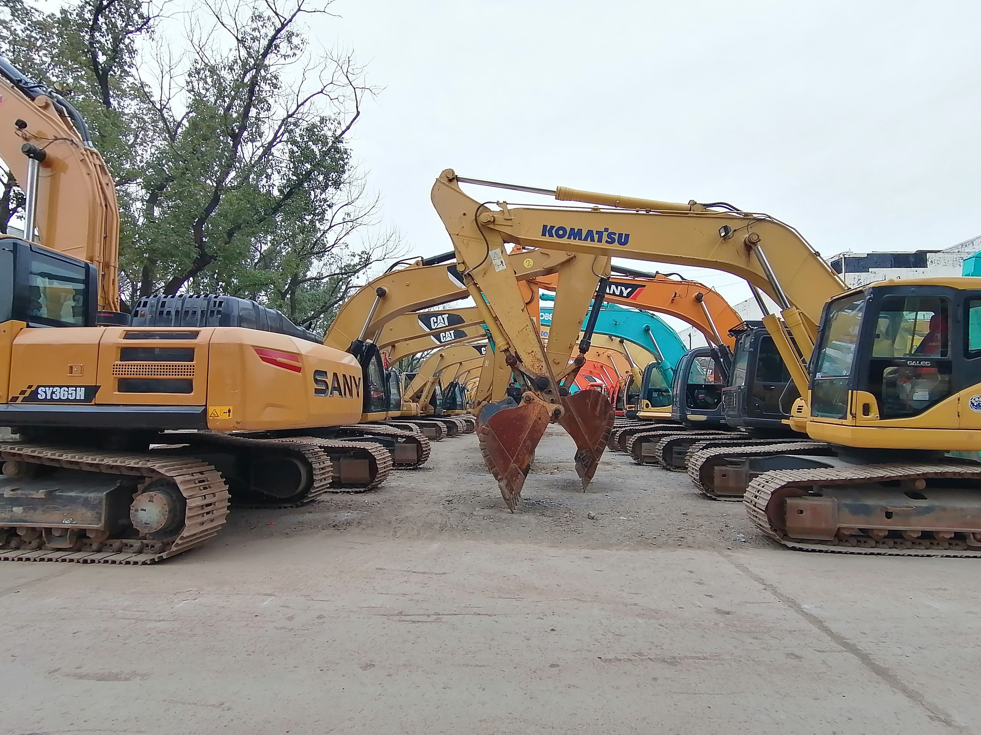 Qingdao Higher Weight Trade Co. LTD undefined: foto 6