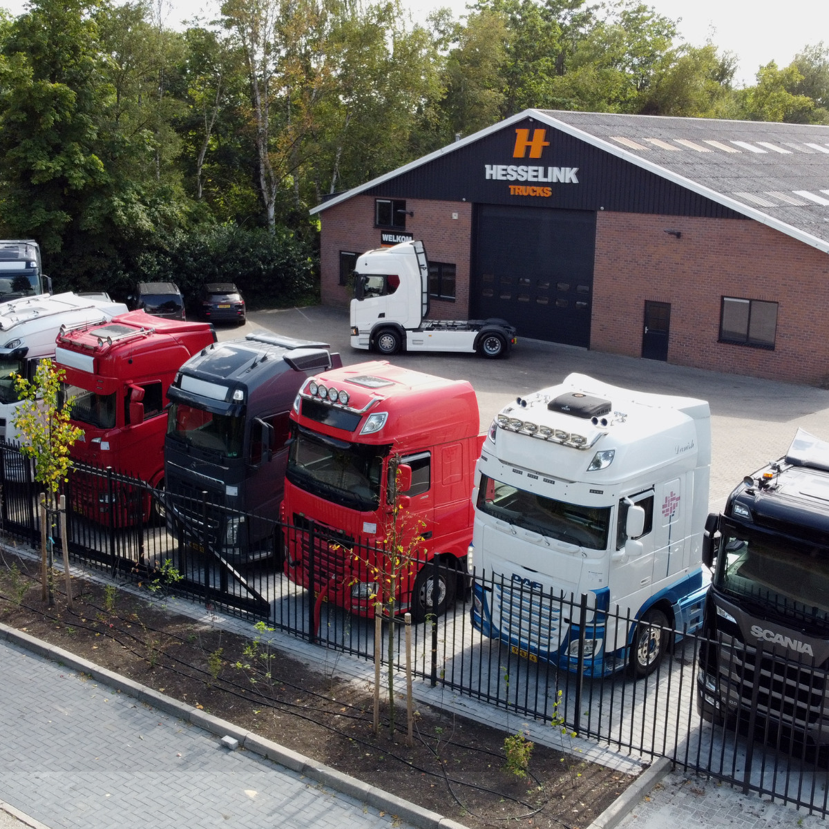 Hesselink Trucks B.V. - Cabezas tractoras IVECO undefined: foto 8