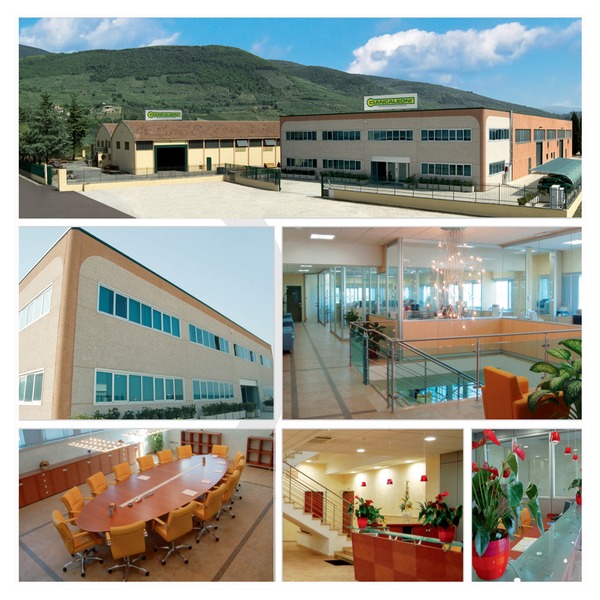 Ciancaleoni Srl - anuncios sobre venta undefined: foto 1