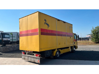 Camión para caballos MAN TGL 10.180 Euro 4  Pferdetransporter Horse MAN TGL 10.180 Euro 4  Pferdetransporter Horse: foto 4