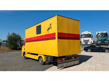 Camión para caballos MAN TGL 10.180 Euro 4  Pferdetransporter Horse MAN TGL 10.180 Euro 4  Pferdetransporter Horse: foto 5