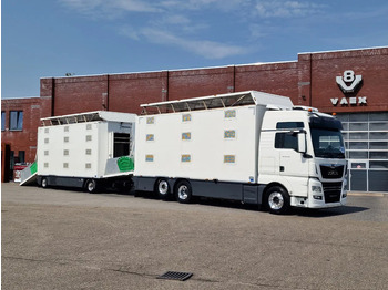 Camión transporte de ganado MAN TGX