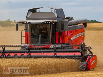 Cosechadora de granos MASSEY FERGUSON