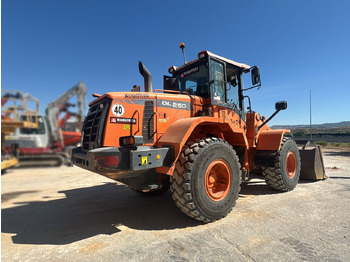 Cargadora de ruedas DOOSAN DL250-3: foto 4