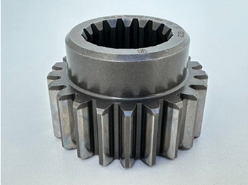 : imagen de cabecera