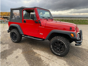 SUV/ Todoterreno Jeep WRANGLER 2.5i 118 Véhicule d'Origine Française: foto 3