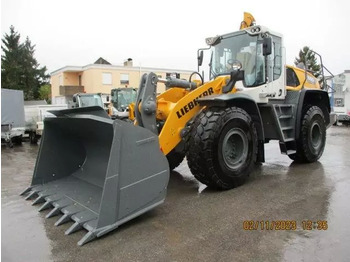 Leasing para  2023 Liebherr L 550 XPower 2023 Liebherr L 550 XPower: foto 1