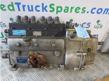 Sistema de combustible