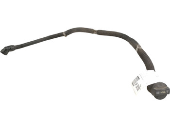 : imagen de cabecera