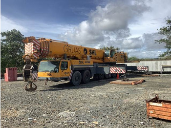 Grúa todo terreno LIEBHERR
